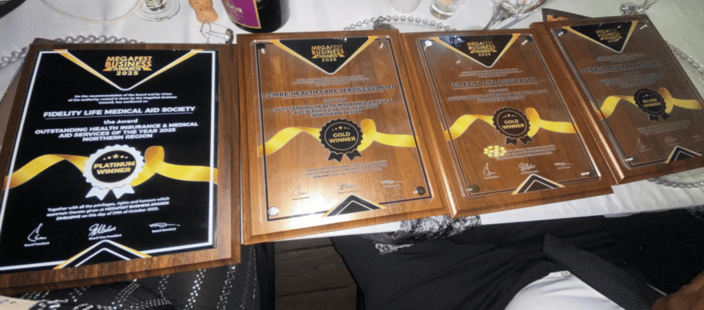 Mega Fest Business Awards Platinum Winner
